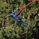 FH凤凰至尊五金及零散原料购买名目成交公示 7scj2TWCw4