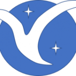 wvQ0y14